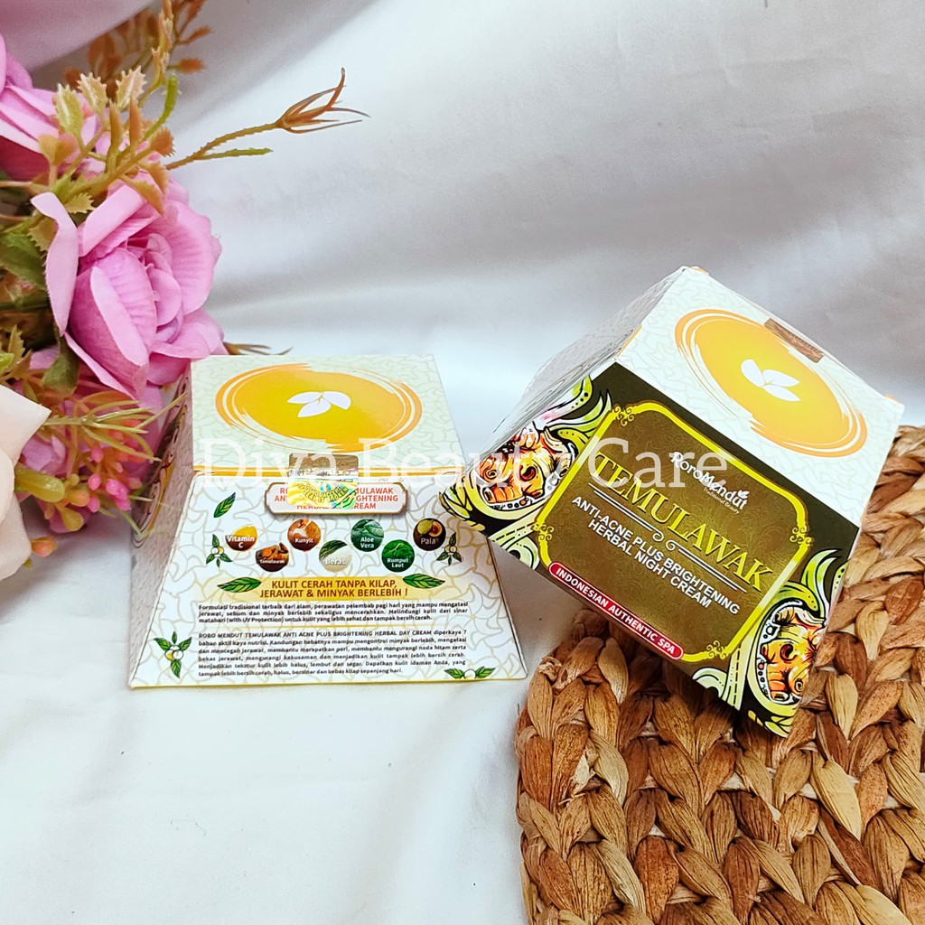 RORO MENDUT TEMULAWAK ANTI ACNE BRIGHTENING NIGHT CREAM