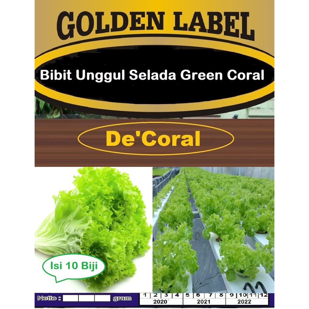 Bibit Unggul Selada Green Coral | Benih Selada Green Coral