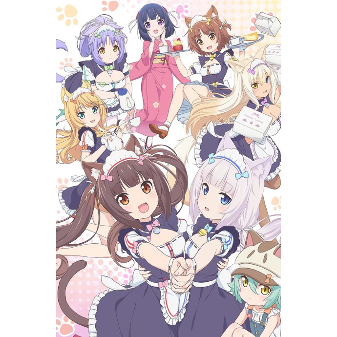 Dvd Anime Nekopara