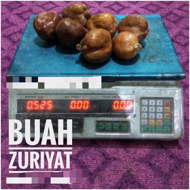 

BUAH ZURIAT. UNTUK PROMIL DAN KESEHATAN 500gr