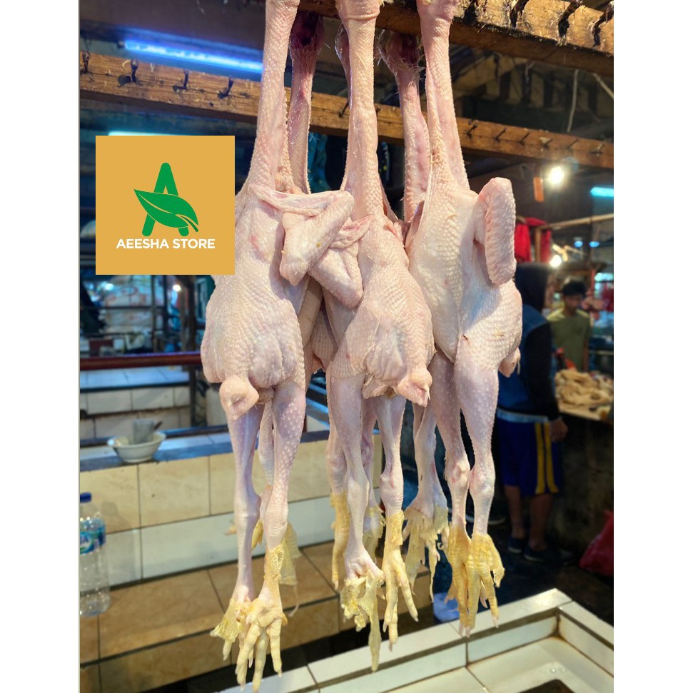 

Ayam Pejantan Utuh Segar Fresh 600gr - 800gram KHUSUS BANDUNG