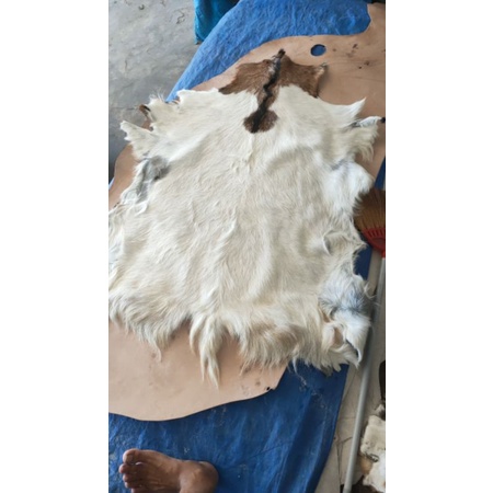 

Bahan kerajinan,kulit kmbing