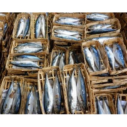 

Ikan Pindang 1 ranjang isi 2 ikan Salem Pasar Sayur Bandungan Semarang