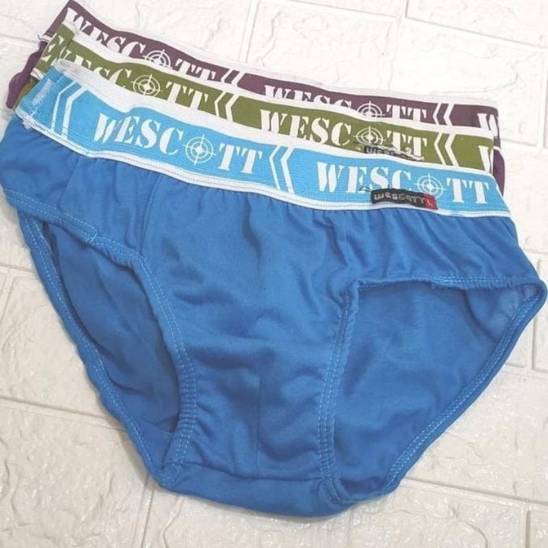 [Isi 3] PREMIUM BEST SELLER Celana Dalam Pria Dewasa / CD Wescott Saga / CD Boxer Wescott Saga