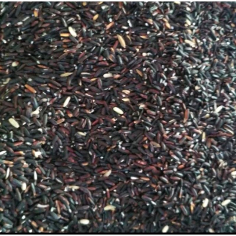 

KETAN HITAM 1/2 KG
