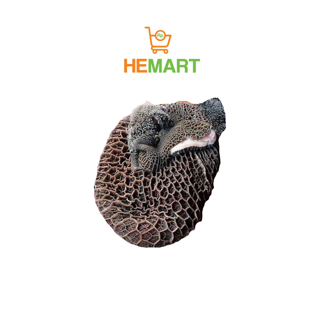 

Babat, Daging Frozen, Bandung (250gr - 1kg)