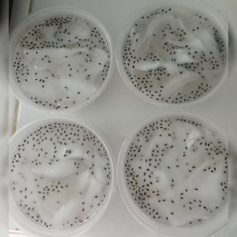 

COCONUT JELLY selasih isi 5 CUP 300ml