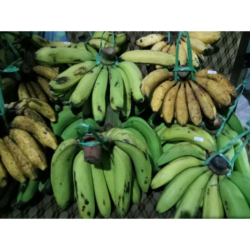 

pisang hijau