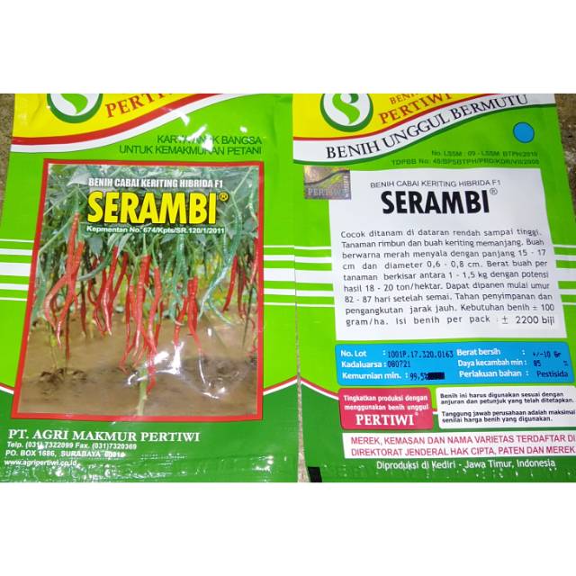 Benih cabe keriting serambi
