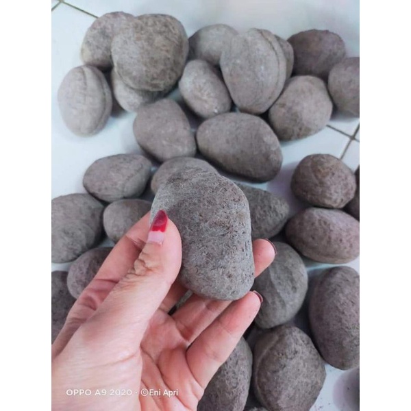 

kluwek-klewek-picung hitam per 10pcs