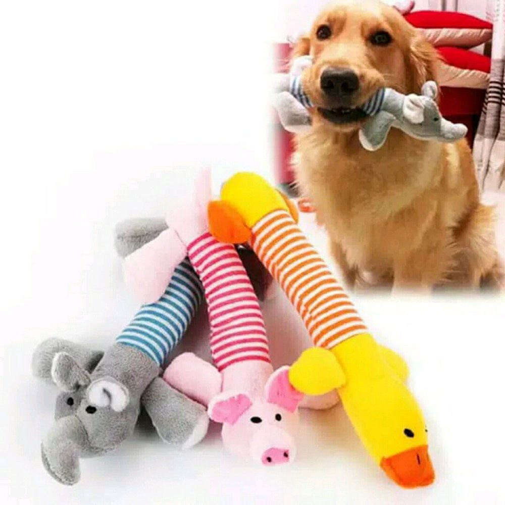 cat dog toy