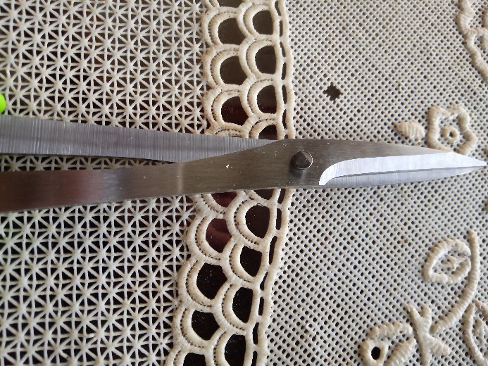 Gunting Pruning Bonsai Mata Pendek