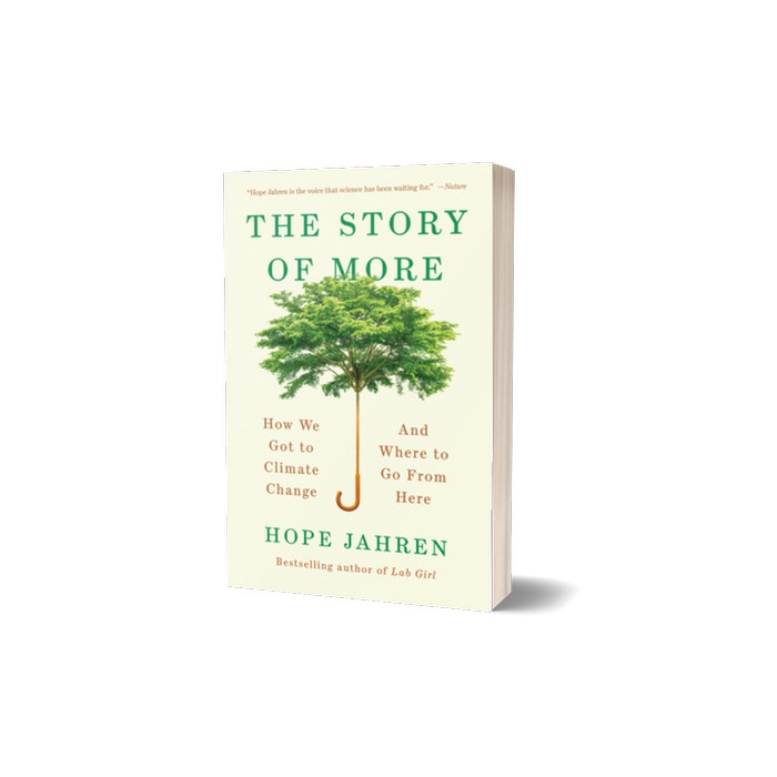 

The Story of More