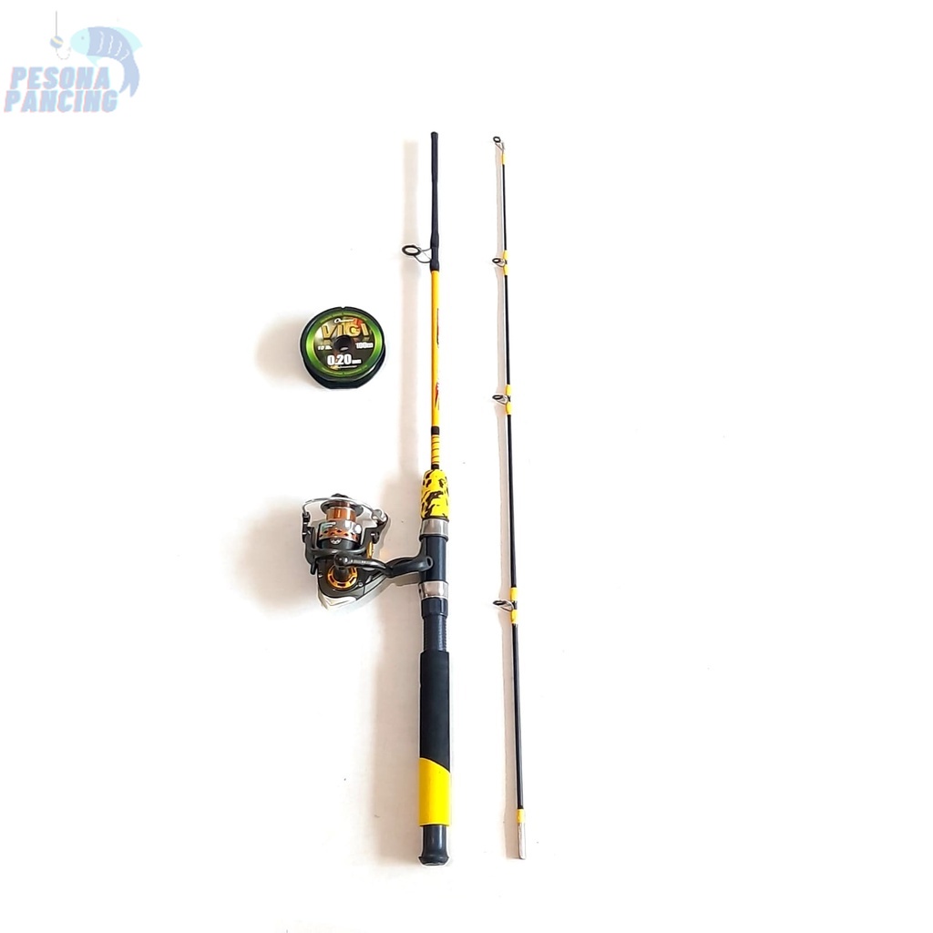 Set Pancing FIBER SOLID Buat Mancing IKAN MAS 150-165 Bonus REEL dan Free SENAR