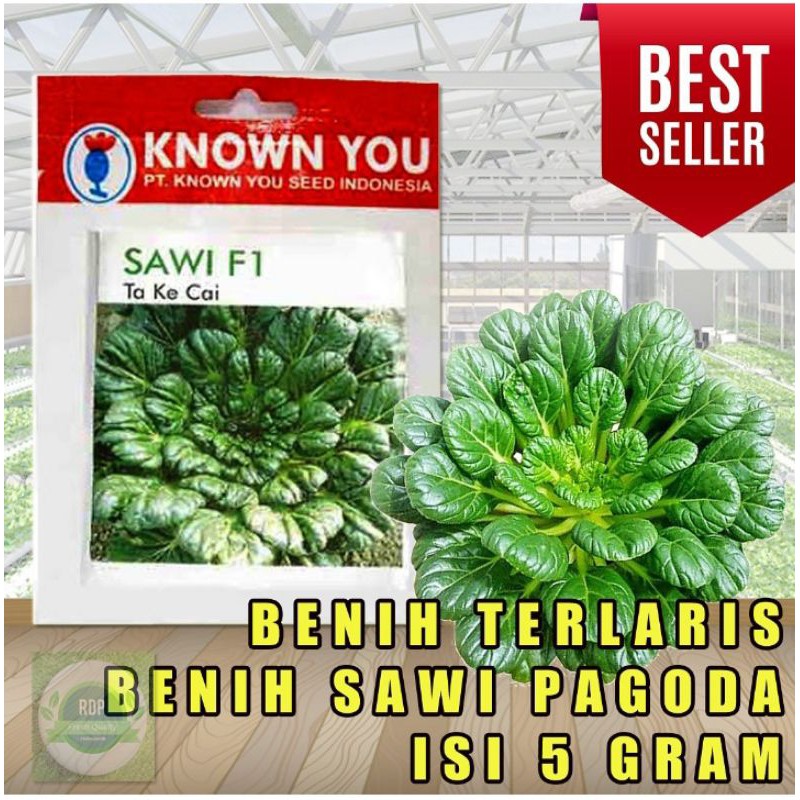 Jual Benih Ta Ke Cai Sawi Pagoda Kemasan Pabrik Gram Shopee Indonesia