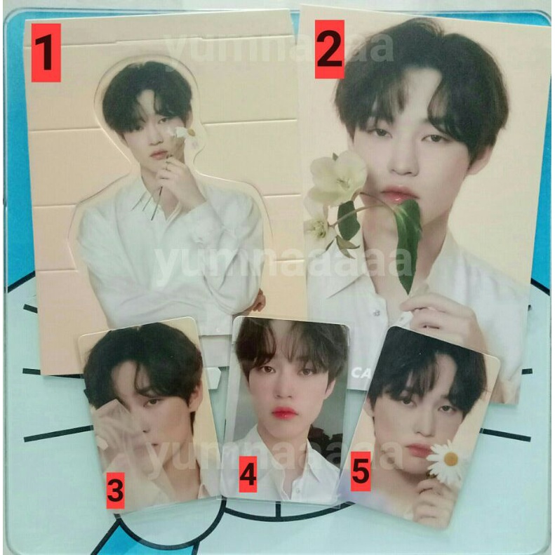 Chenle Candylab V4 NCT DREAM X CANDYLAB