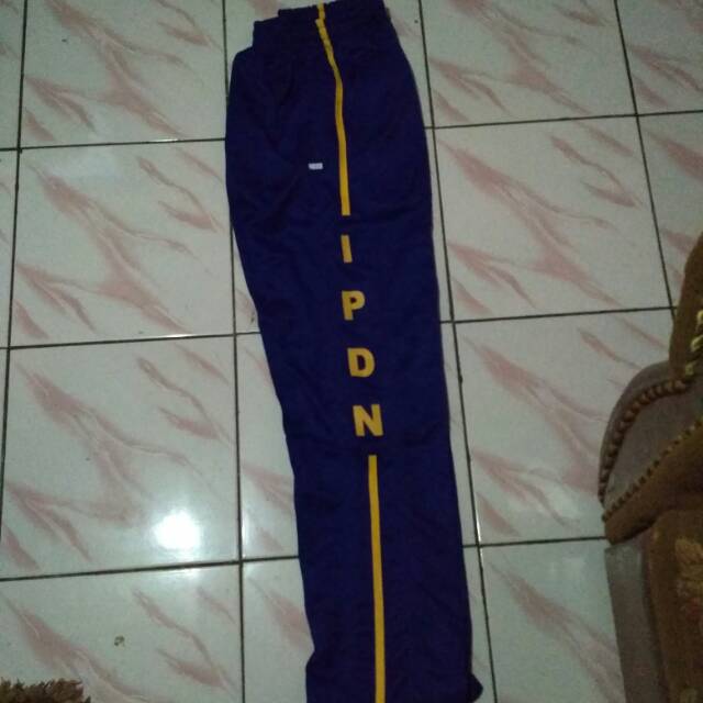 Training IPDN