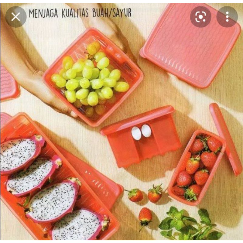 Wadah fridgesmart set isi 10pcs