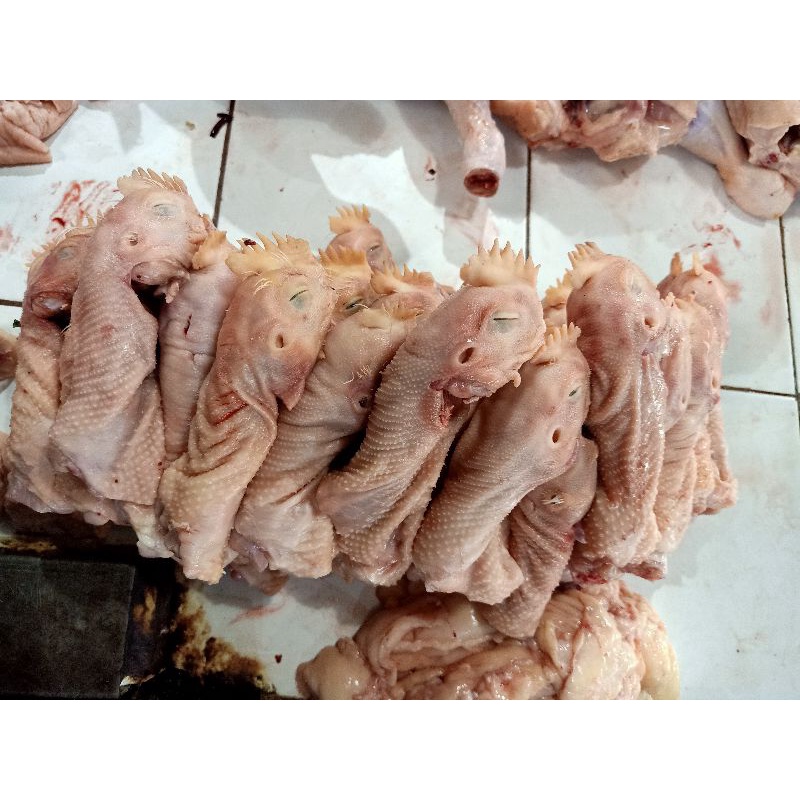 

kepala ayam fresh