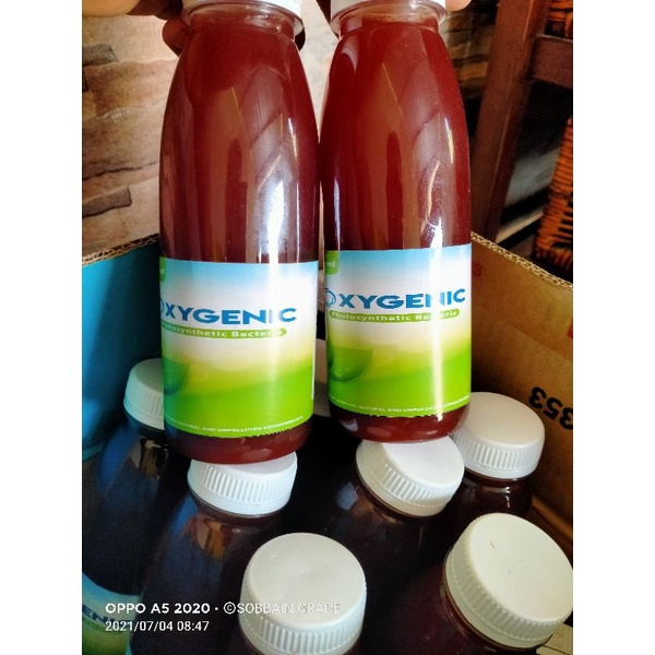Pupuk PSB Oxygenic