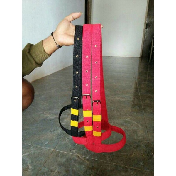 Head Halter brangus sapi