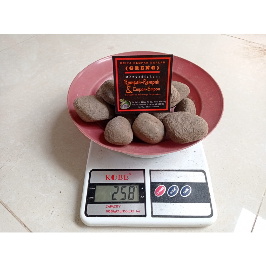 

KLUWAK/ KLUWEK/ PICUNG/ KEPAYANG/ PACUNG/ PAKEM/ KALAWA/ PANGI 250 g