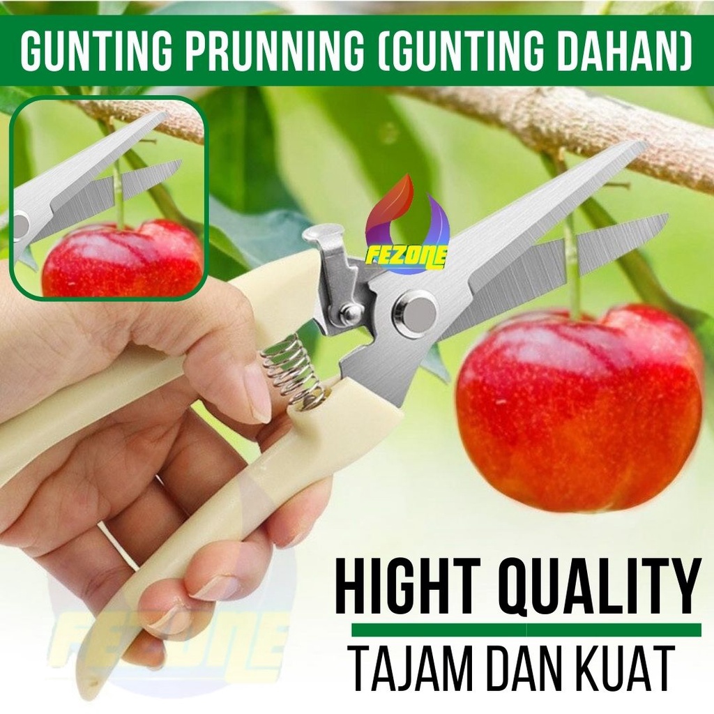 GUNTING DAHAN RUNCING GUNTING KEMBANG BONSAI GUNTING BUAH LANCIP FEZONE