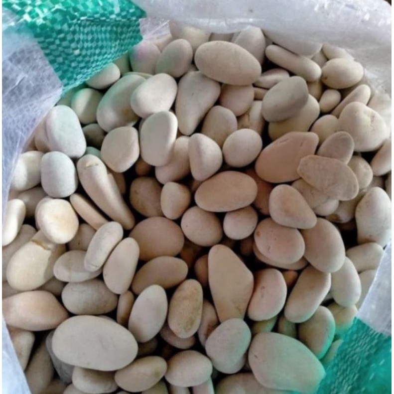 BATU HIAS TAMAN 1kg BATU ALAM/BATU CORAL HIAS