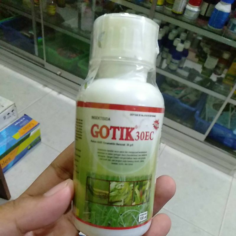 Gotik 30EC