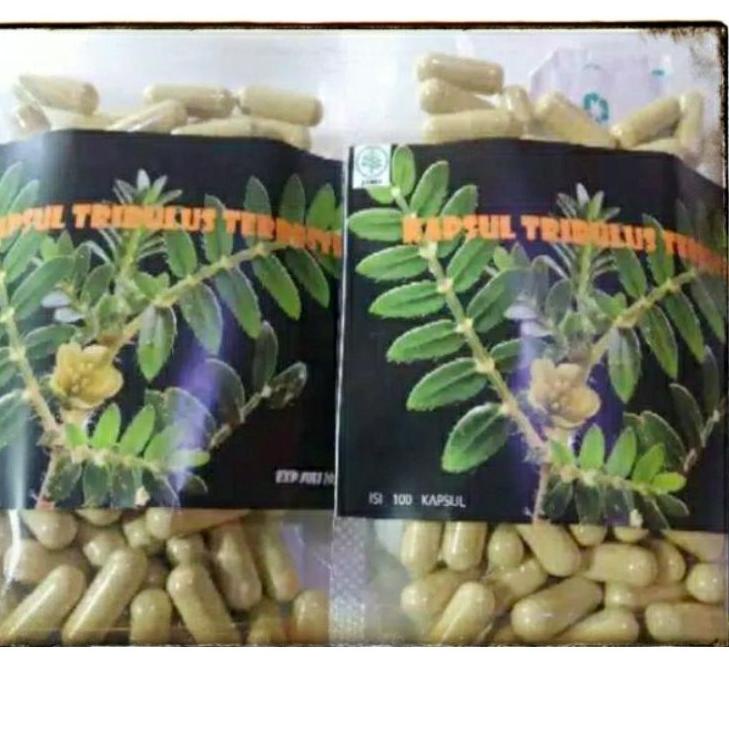 Terbaru Kapsul Testosteron Booster Tribulus Tereis Peningkat Hormon Testosteron Suplemen Otot SFQ