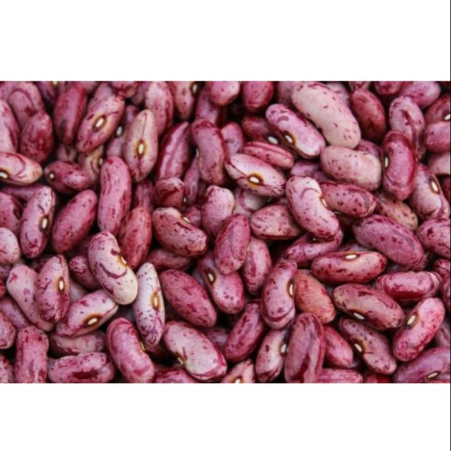 

Kacang Merah Kualitas Super per 250 gram