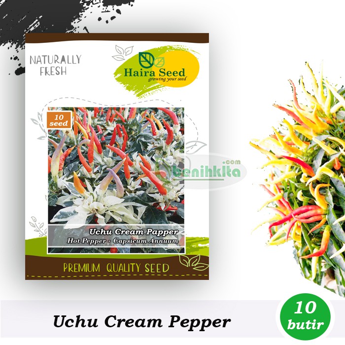 Benih-Bibit Cabe Hias Uchu Cream (Haira Seed)