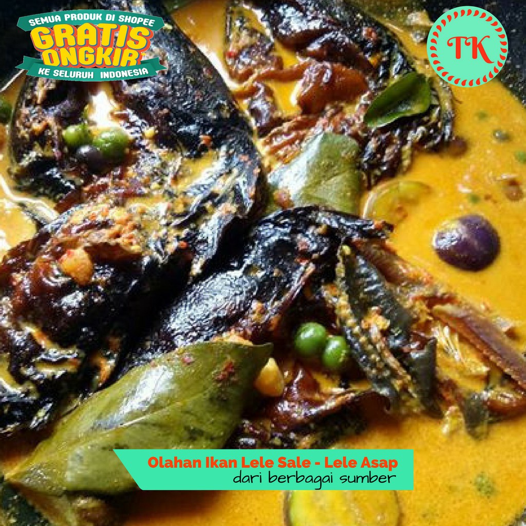 200 Gr Ikan Lele Limbat Sale Asap Kering Khas Sumatera Utara Dengan Pengolahan Tradisional Shopee Indonesia