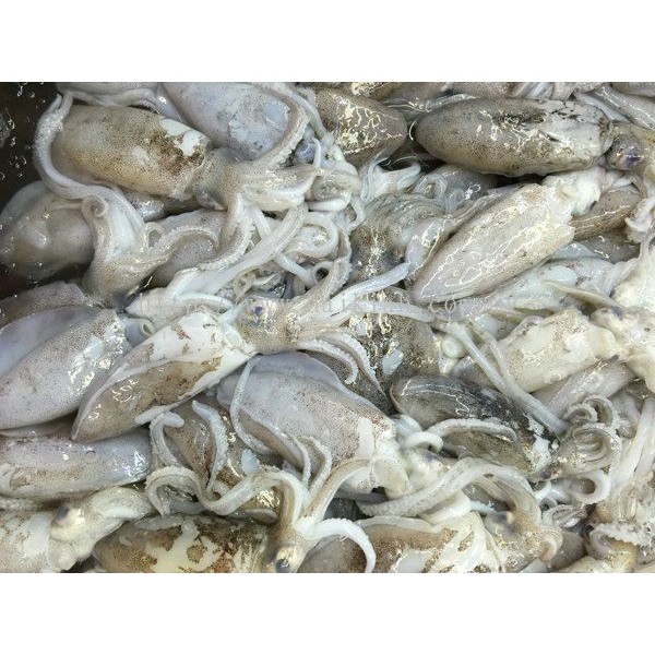 Balakutak Daging Segar Bandung