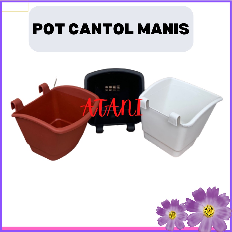 Pot DINDING CANTOL TEMPEL  - Pot Dinding Tempel Manis Mini Pot Agro Vertical Panjang | Pot Dinding T