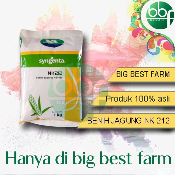 Bibit Jagung Hibrida NK 212 1kg