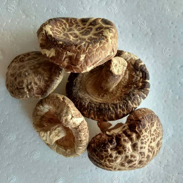 

Dried Shiitake Mushroom