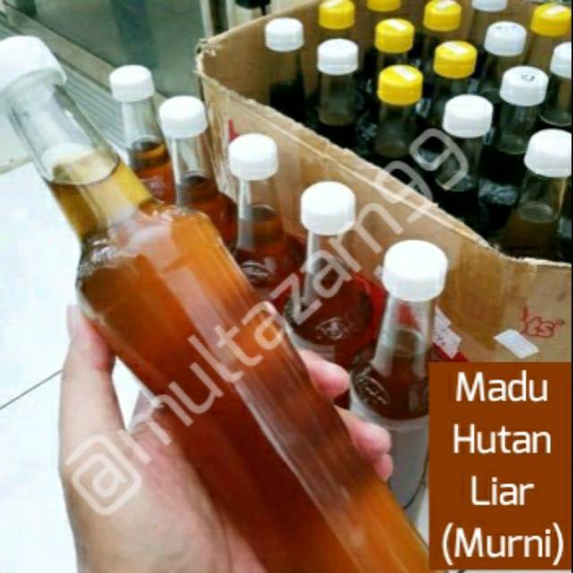 

Madu hutan liar murni