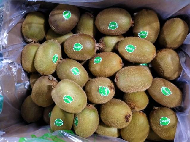 

PROMOOOOOO Buah kiwi sweeky hijau|buah segar bandung|nuri fruits|buah kiwi bandung|buah kiwi khusus gojek|