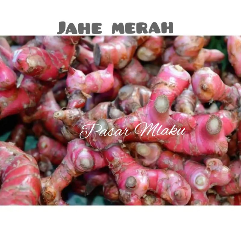 

JAHE MERAH SUPER / SAYURAN SEGAR