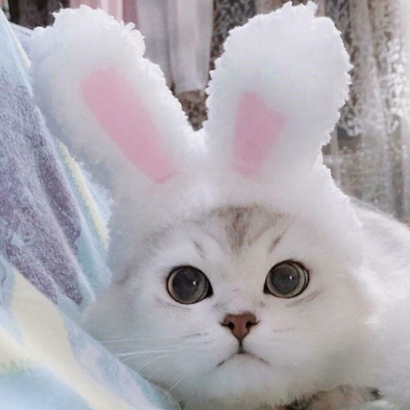 Bunny Hat for Cat - Topi Telinga Kelinci Untuk Kucing Cosplay Rabbit Ear Hat for Cat Dog Cute