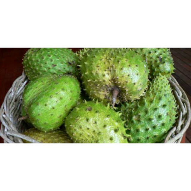 

Sirsak fresh 1kg