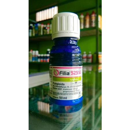 FILIA 50ml