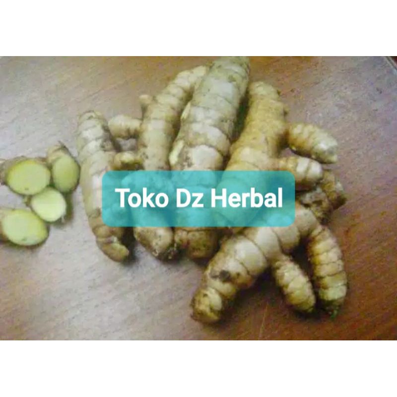 

Kunyit putih atau Temu Putih Segar 1 Kg-az