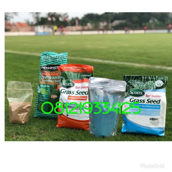 benih rumput bermuda-benih rumput golf-rumput jepang