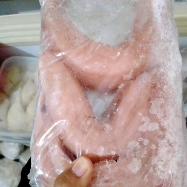 

Ikan hiu