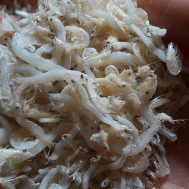 

Teri nasi campur kecepe rasa di jamin enak ikan senantiasa baru murah meriah aja yang pentin