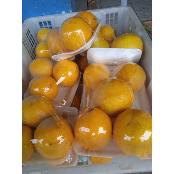 

jeruk lemon import super