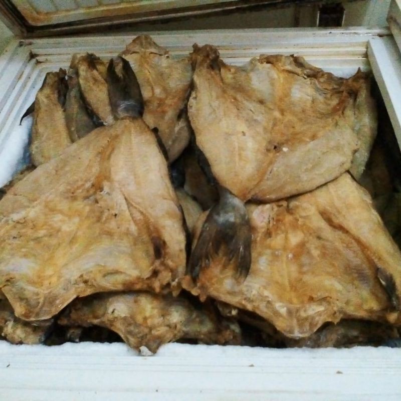 

Ikan asin jambal roti super ngeprul tanpa tulang asli Pangandaran 1,5 KG