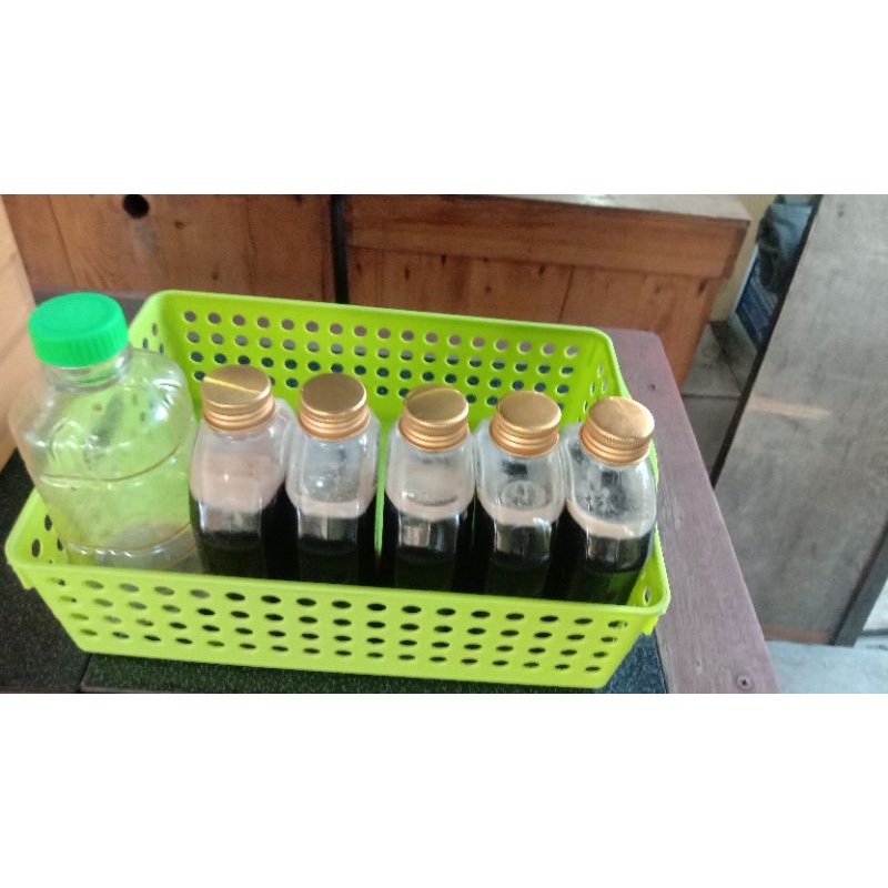 

madu hitam lebah liar